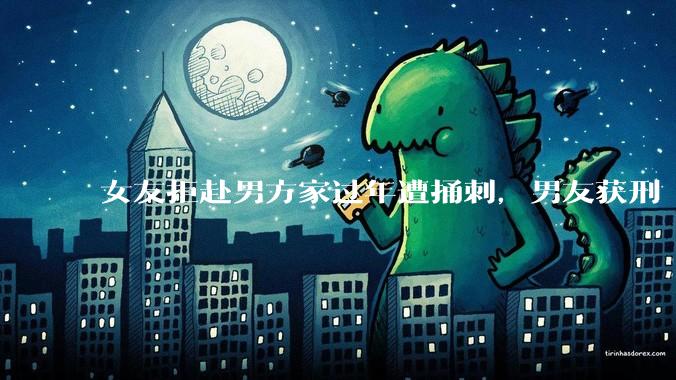 女友拒赴男方家过年遭捅刺，男友获刑 4 年 3 个月，该案件起到了哪些警示作用？