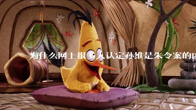 为什么网上很多人认定孙维是朱令案的凶手？
