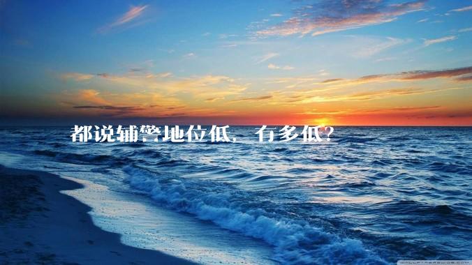 都说辅警地位低，有多低？