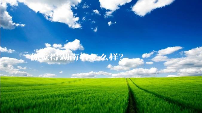 你觉得湖南省怎么样？