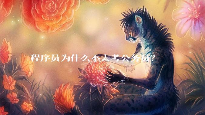 程序员为什么不去考公务员？
