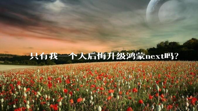 只有我一个人后悔升级鸿蒙next吗？